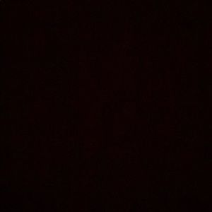 Meet your Posher, Ava